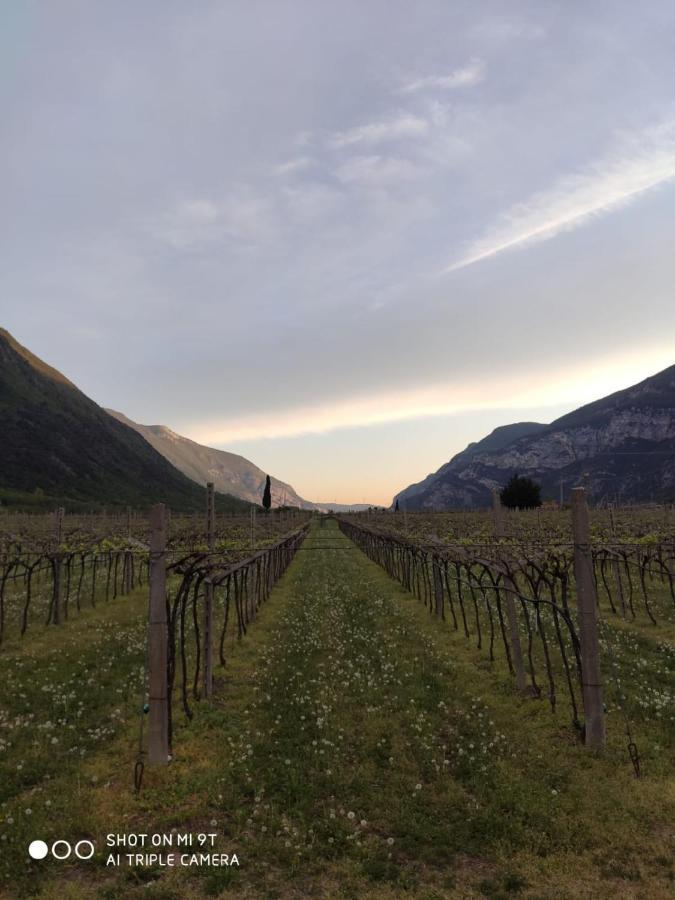 Agriturismo Revena Brentino Belluno Экстерьер фото