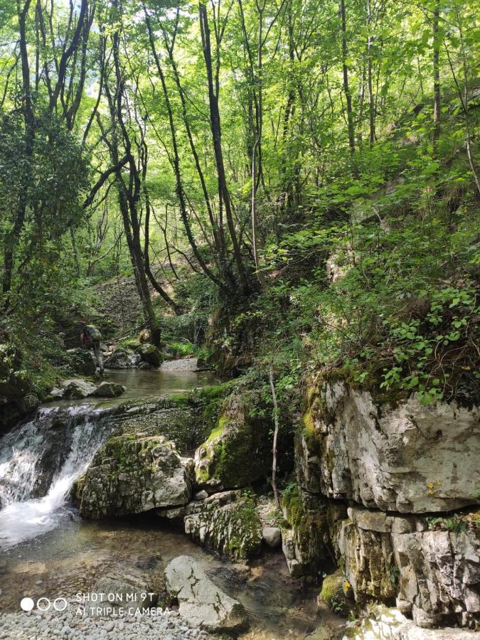 Agriturismo Revena Brentino Belluno Экстерьер фото
