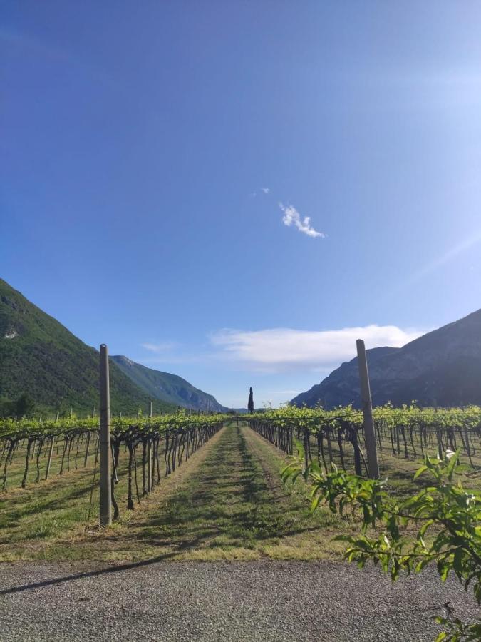 Agriturismo Revena Brentino Belluno Экстерьер фото
