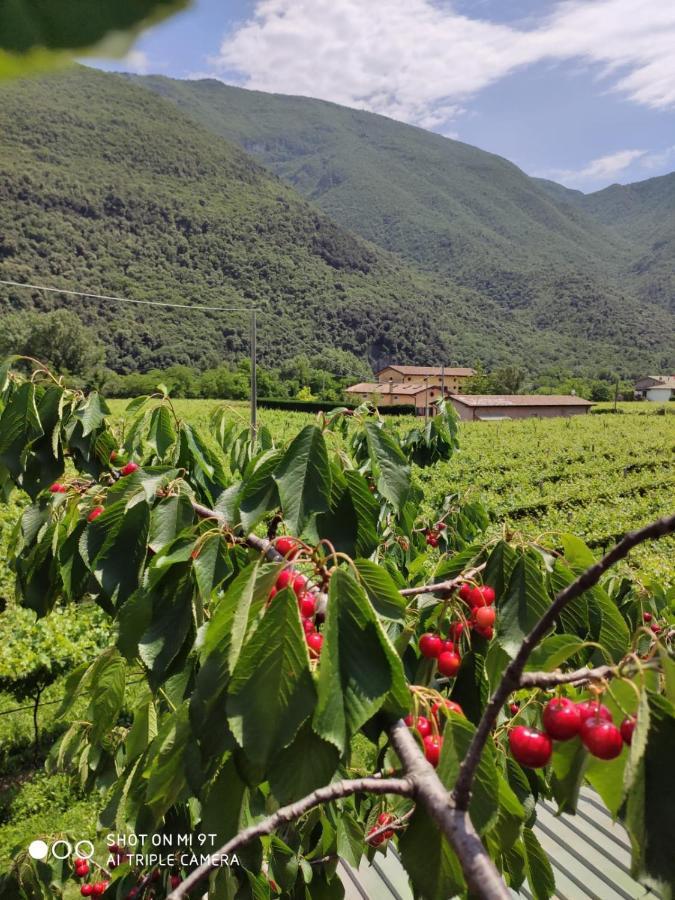 Agriturismo Revena Brentino Belluno Экстерьер фото