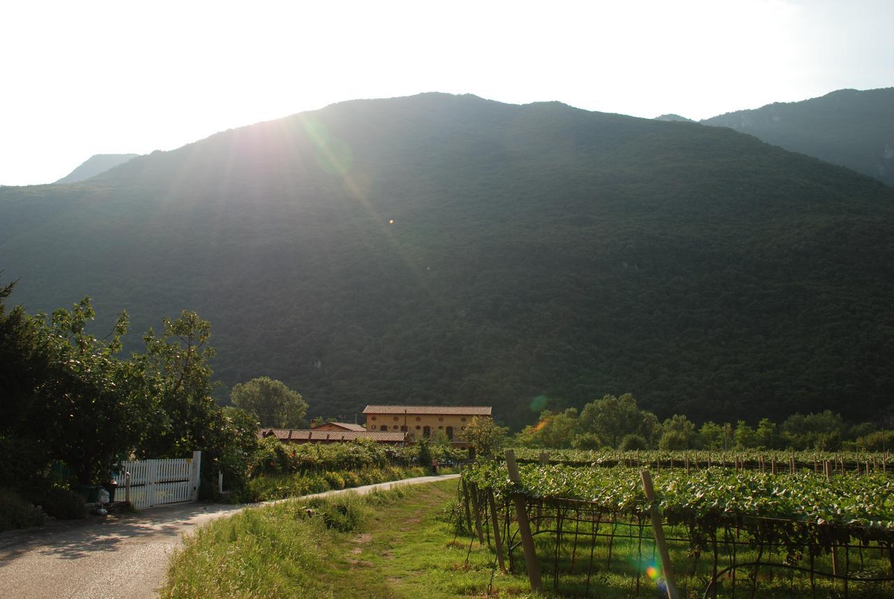Agriturismo Revena Brentino Belluno Экстерьер фото